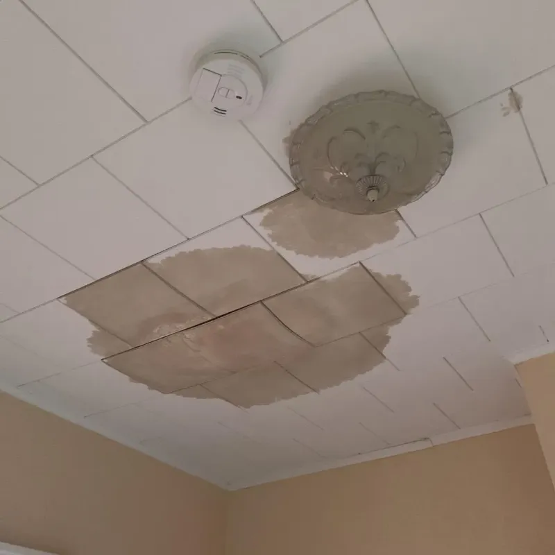 Ceiling Water Damage Repair in Escobares, TX
