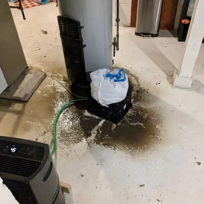 Sewage Backup Cleanup Service in Escobares, TX